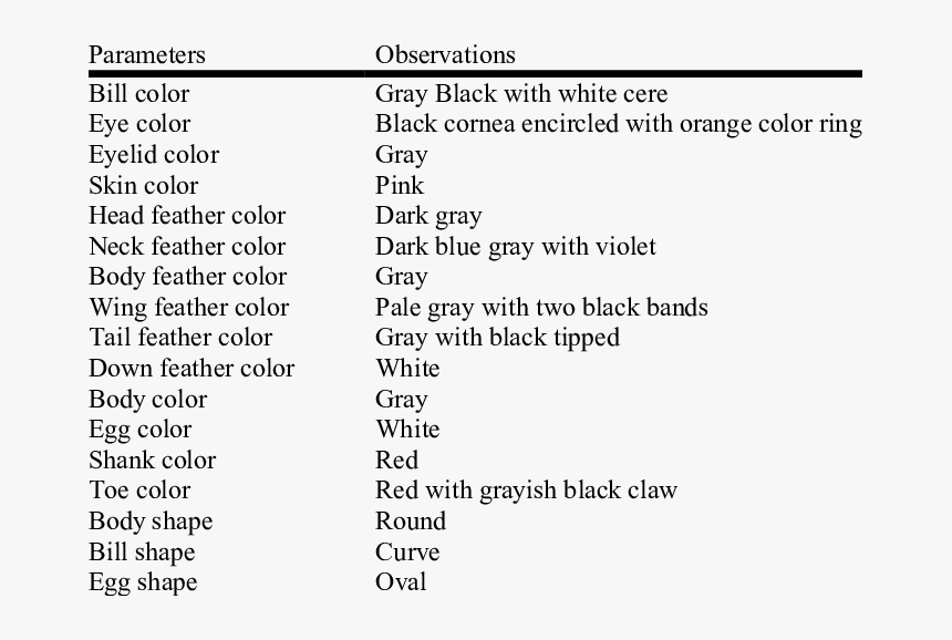 Screenshot, HD Png Download