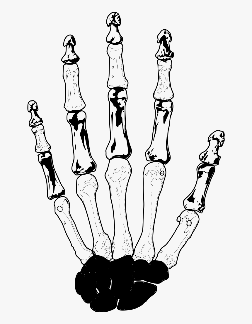 Illustration, HD Png Download