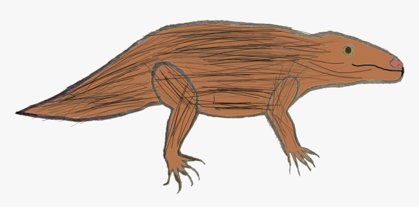 Dream What Your Heart Desires - Monitor Lizard, HD Png Download