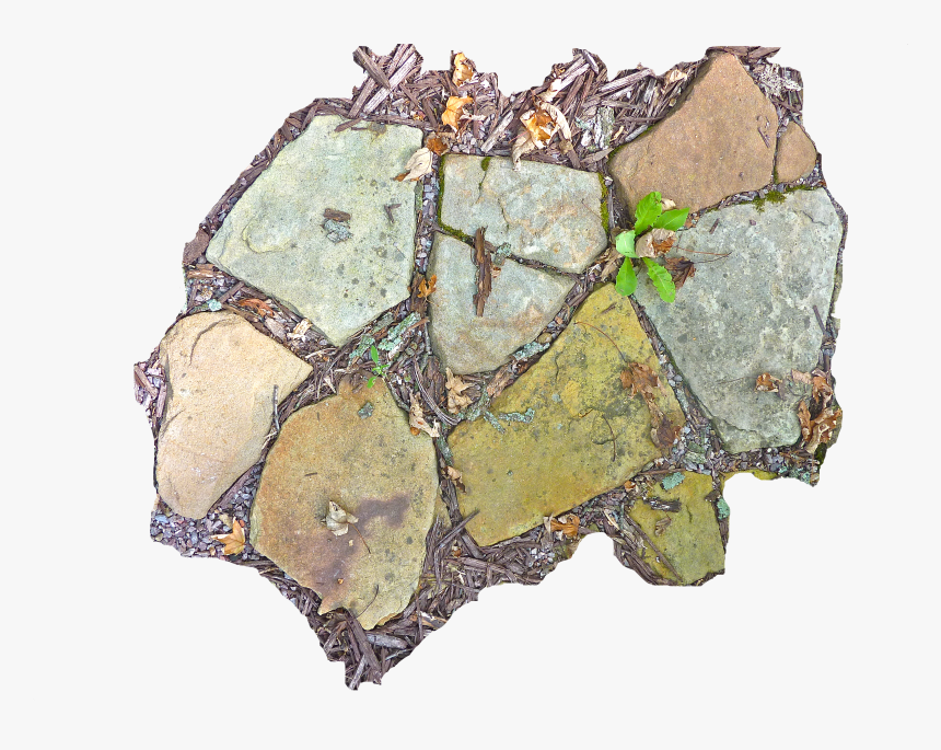 Visual Arts, HD Png Download