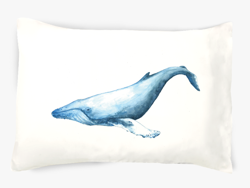 Cushion, HD Png Download