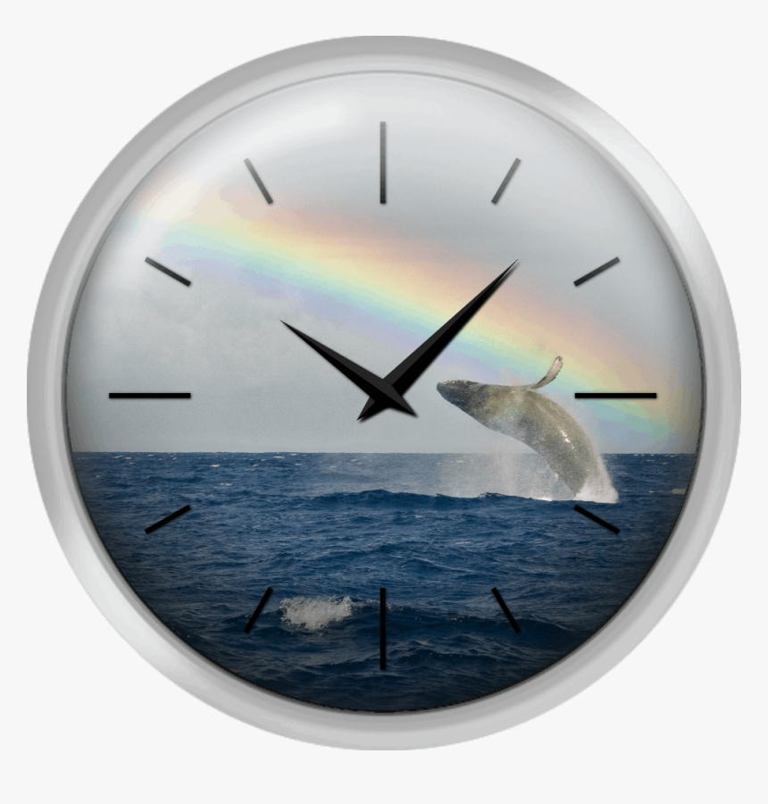 Humpback Whale Rainbow Breach - Wall Clock, HD Png Download