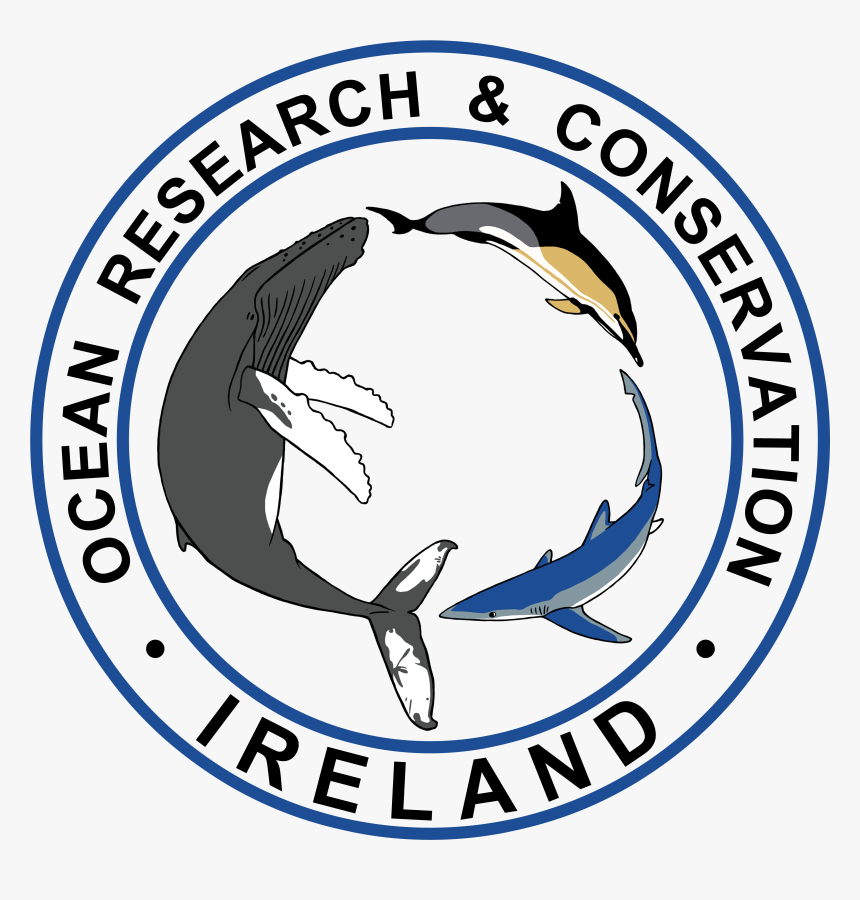 Ocean Pollution Ireland Organizations, HD Png Download
