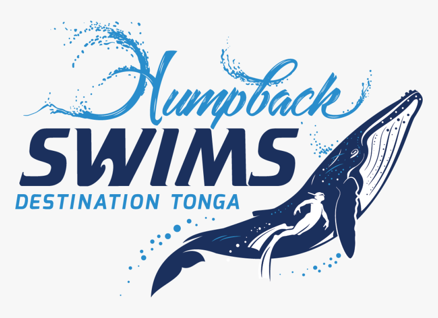 Humpback Whale, HD Png Download