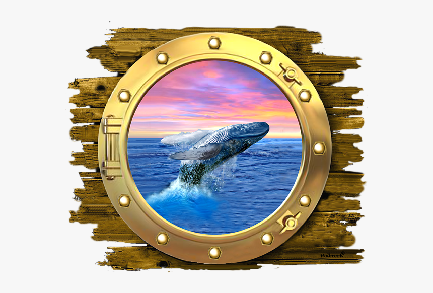Cetacean Surfacing Behaviour, HD Png Download