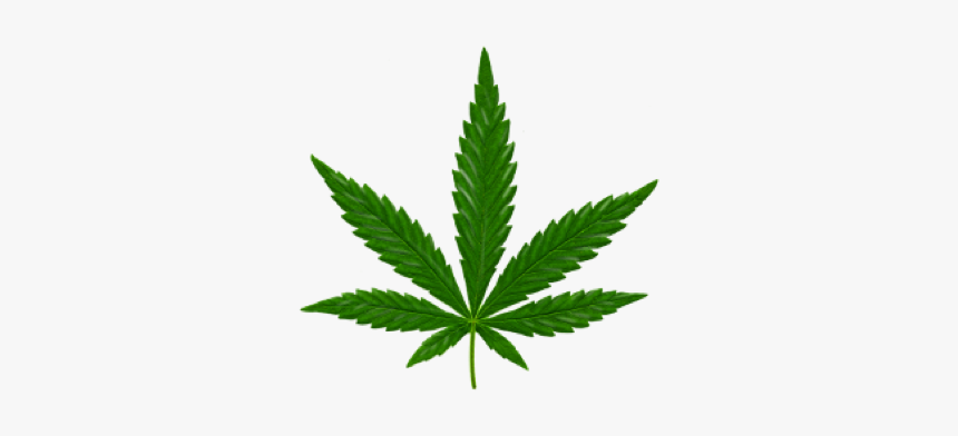 Image - Marijuana Leaf Small, HD Png Download