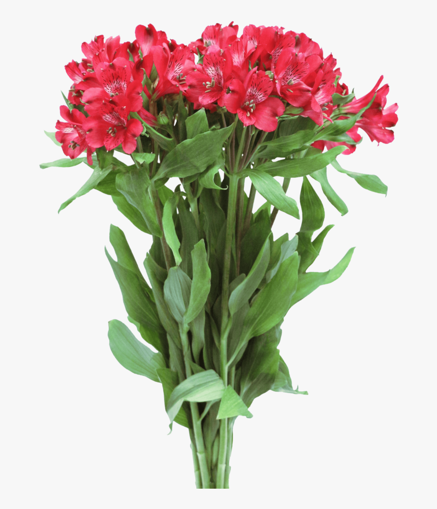 Bouquet, HD Png Download
