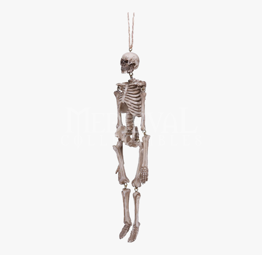 Transparent Hanging Png - Hanging Skeleton Png, Png Download