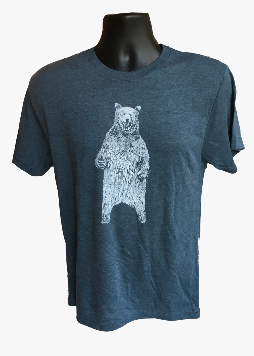 Grizzly Bear, HD Png Download