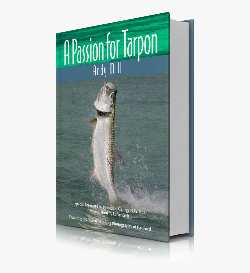 Trout, HD Png Download