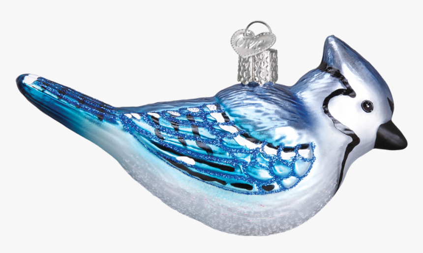 Blue Jay, HD Png Download