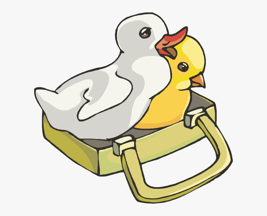 Transparent Baby Border Png - Duck And Chick Clipart, Png Download
