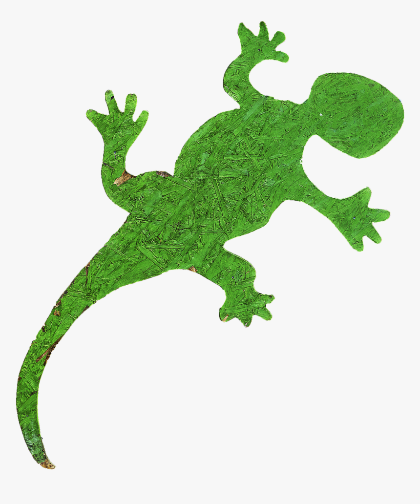 Gecko Holzfigur Figure - International Year Of Forests 2011, HD Png Download
