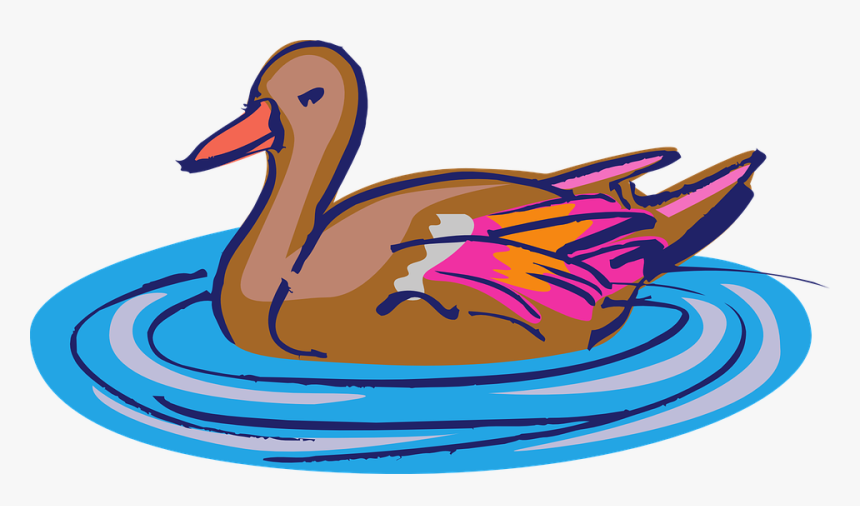 Ducks Clipart Swimming - Duck In Water Clipart, HD Png Download