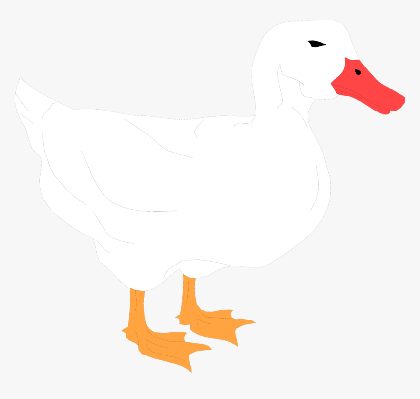 Transparent Duck Clip Art - White Duck Clipart Transparent, HD Png Download