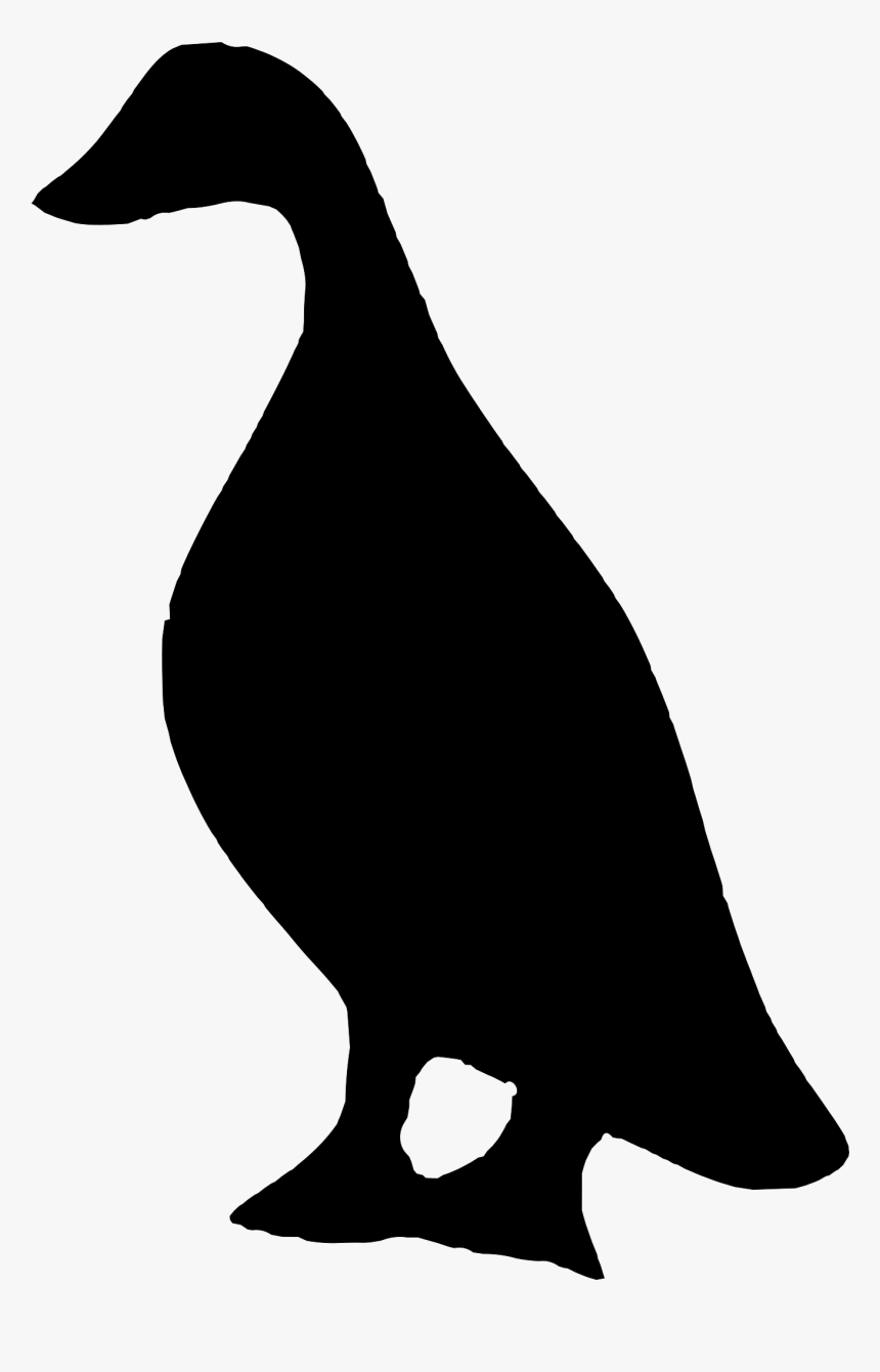 Duck Vector Graphics Clip Art Illustration Silhouette - Animal Silhouette Duck, HD Png Download