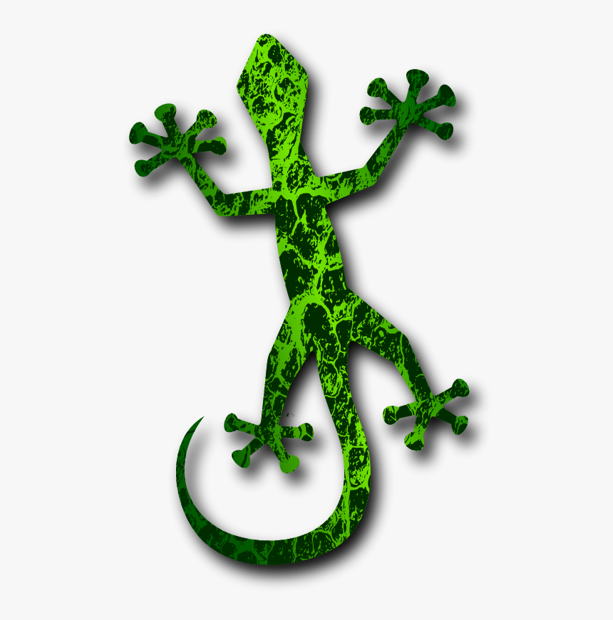 Lizard Clip Art Download - Gecko Clipart No Background, HD Png Download