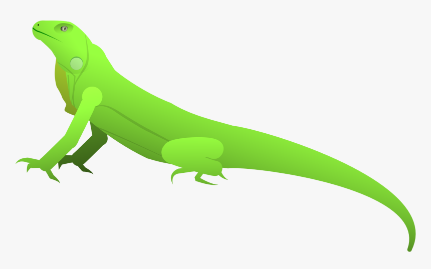 Carolina Anole, HD Png Download