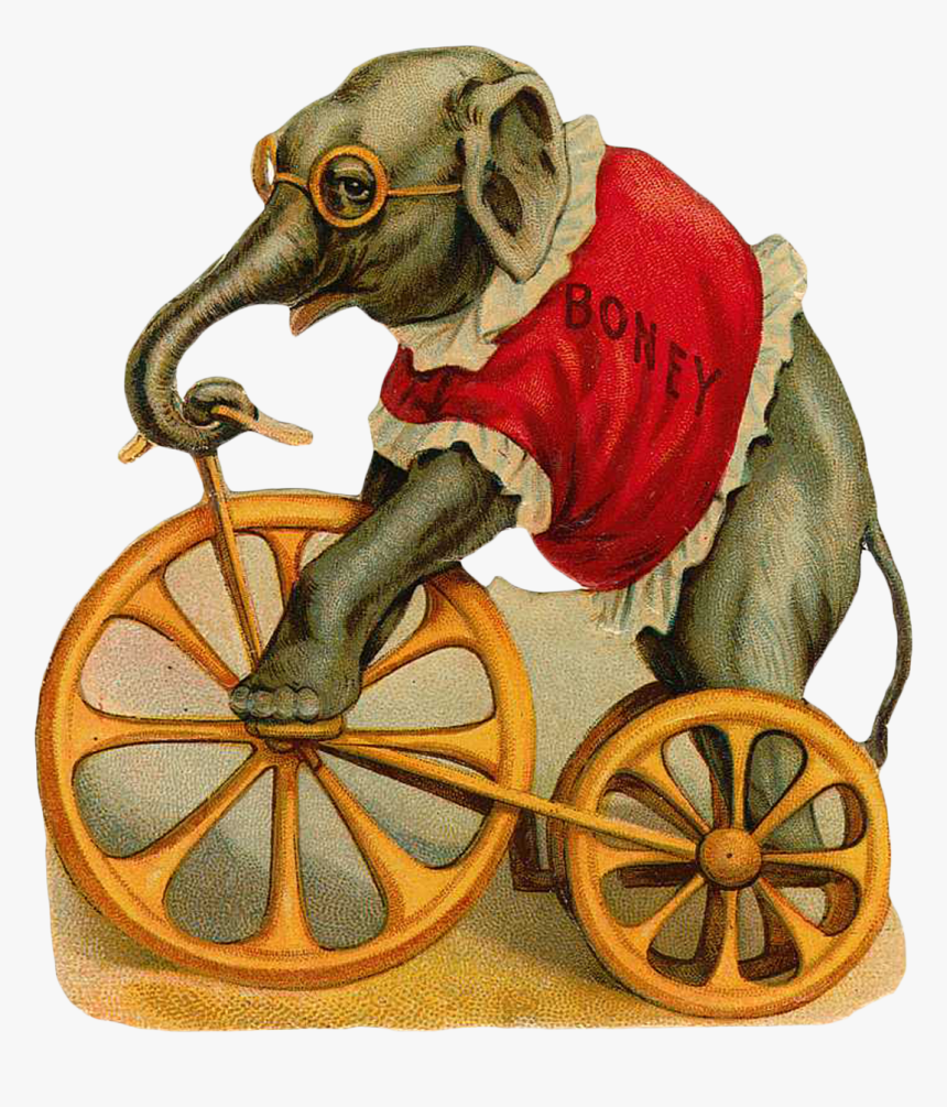 Illustration Vintage Circus Elephant, HD Png Download