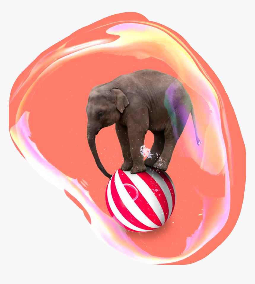 #circus #elephant #bubble - Elephant On A Ball, HD Png Download