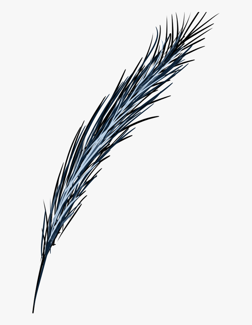 1xbl5n5 - Grass - Phragmites, HD Png Download