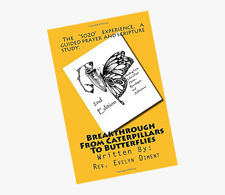 Transparent Blake Lively Png - Eastern Cape, Png Download