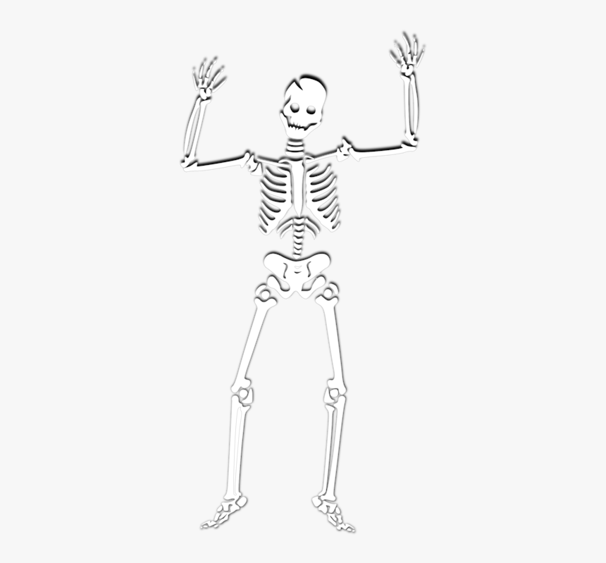 Halloween Skeleton Png, Transparent Png