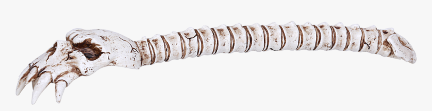 Baluster, HD Png Download