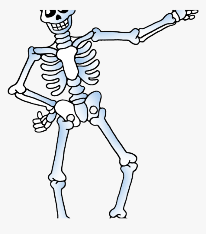 Skelton Clipart Free Skeleton Clipart Public Domain - Skeleton Clipart Transparent Background, HD Png Download