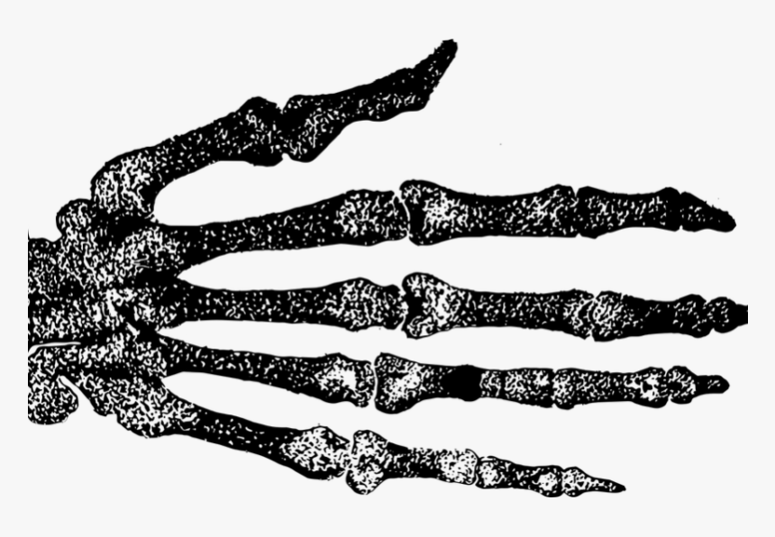 Filgotinib Rheumatoid Arthritis - Tights, HD Png Download