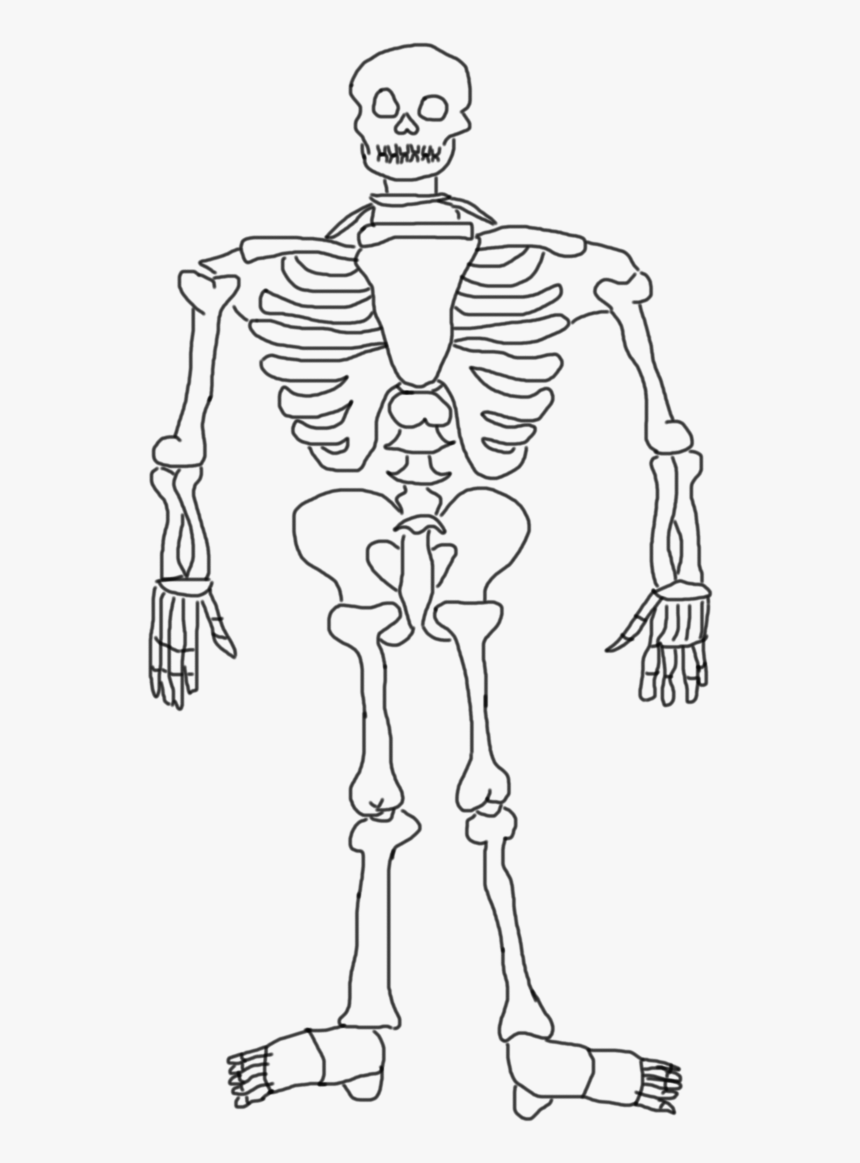 Sketch, HD Png Download