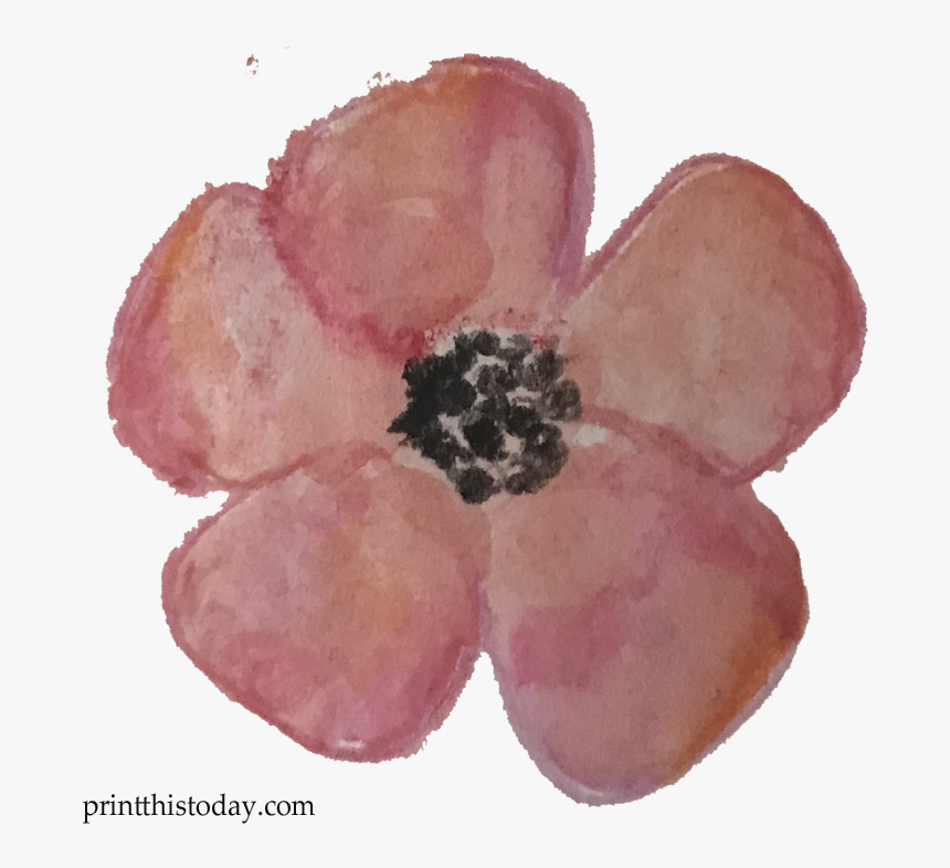Watercolor Flower Clipart Free - Anemone, HD Png Download