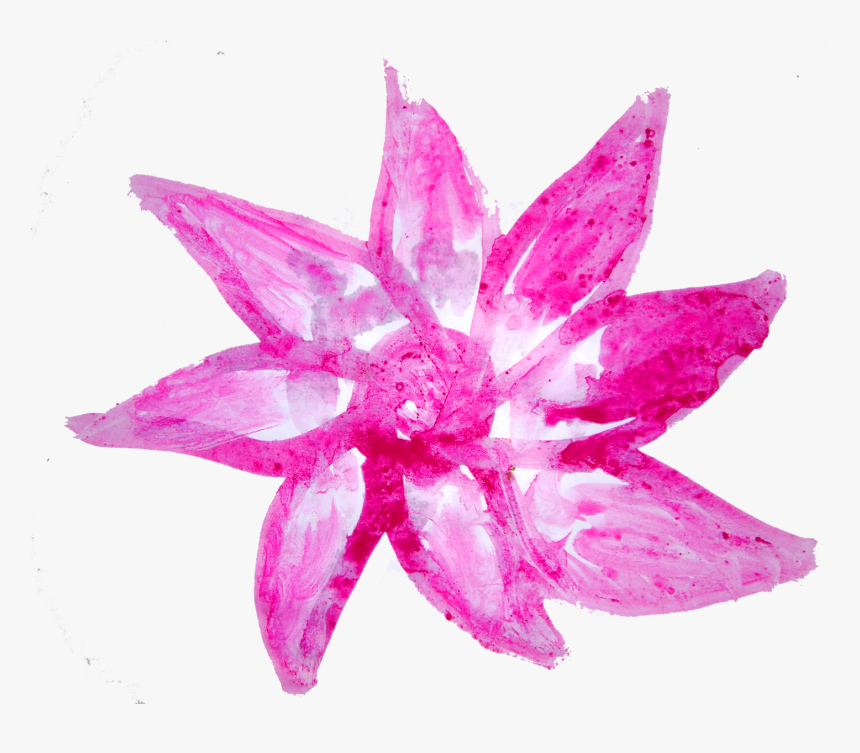 Watercolor Flowers Shading Free Png - Lotus Family, Transparent Png