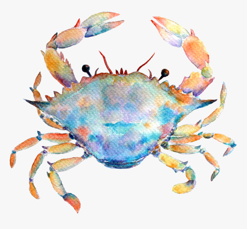 7-1 - Watercolor Horoscope Cancer Png, Transparent Png