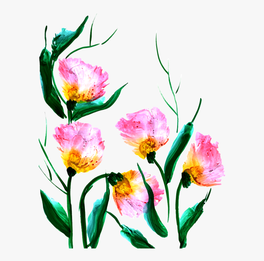 Tulip, HD Png Download