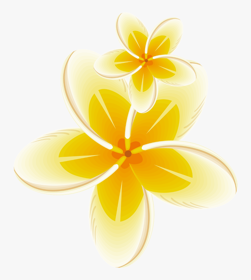 #yellow #frame #bloom #flower #border #flowers #white - Frangipani, HD Png Download