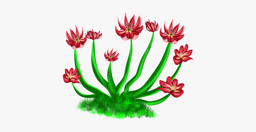 Flowers Red, Red Flower, Nature, Bushes, River, Levee, HD Png Download