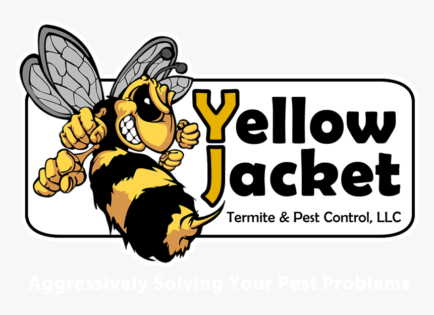 Logo - รูป ตัว ต่อ ตัว แตน การ์ตูน, HD Png Download