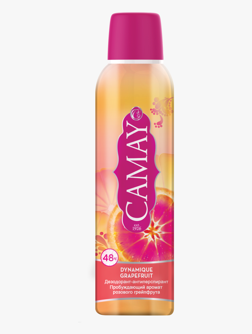 Skateboard Deck, HD Png Download