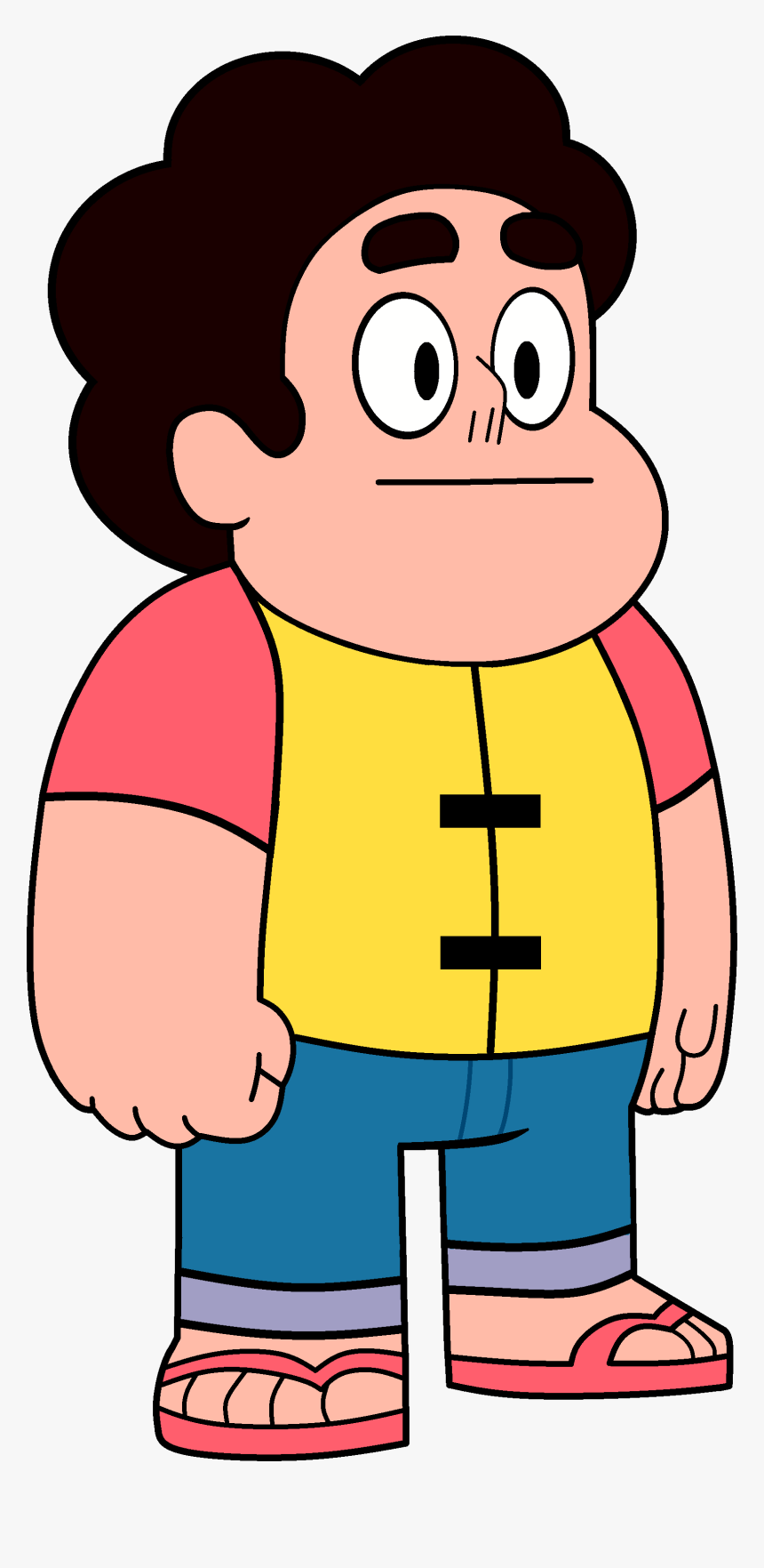 Garnet Shapeshifted Into Steven , Png Download - Steven Universe Steven Png, Transparent Png