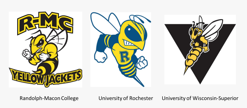 Randolph Macon Yellow Jackets, HD Png Download