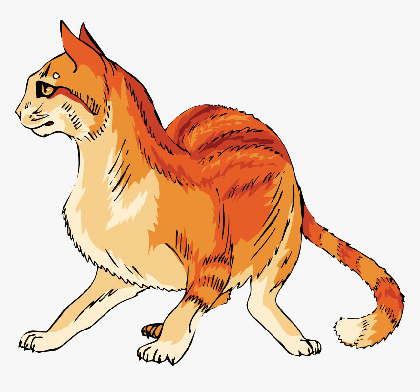 Free Clipart Of A Scared Orange Cat Cat- - Mango Shaped Space Cat Colrs, HD Png Download