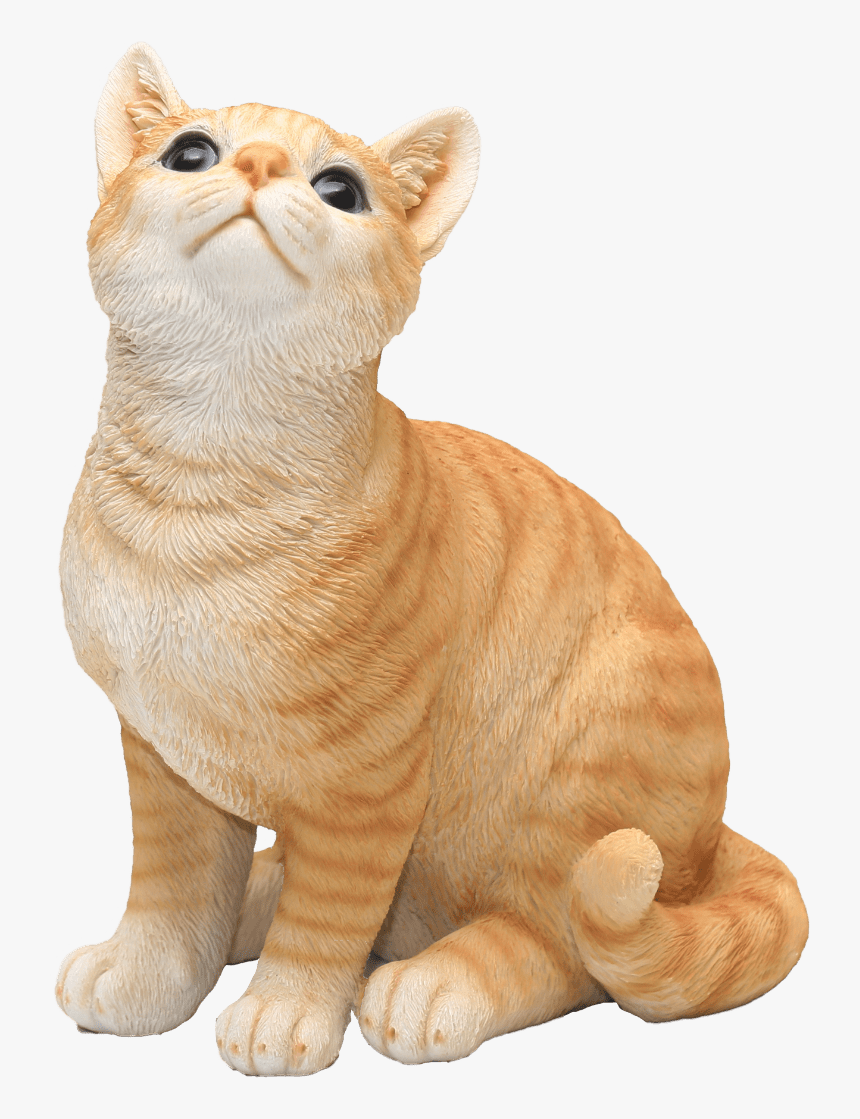 Transparent Orange Cat Png - Cat Sit, Png Download