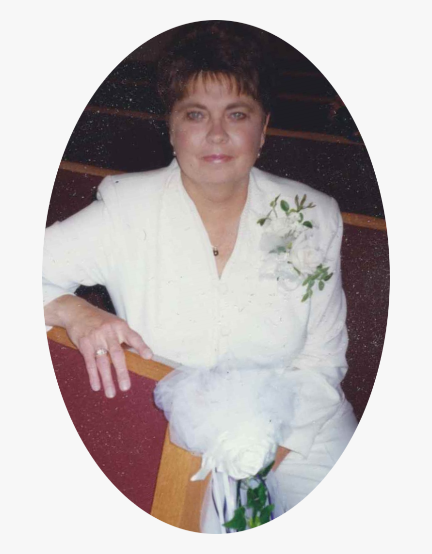 Cut Flowers, HD Png Download