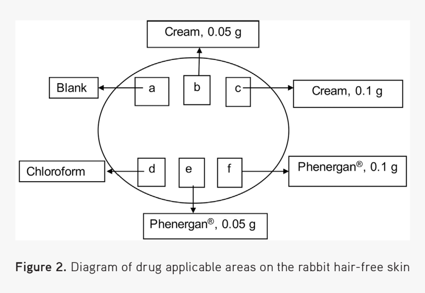 Diagram, HD Png Download