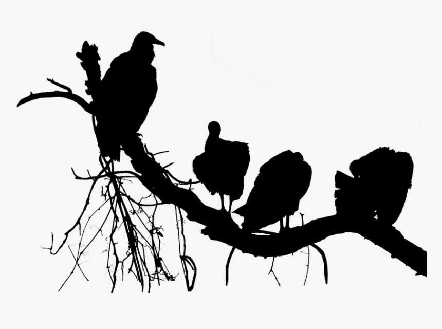 Silhouette, HD Png Download