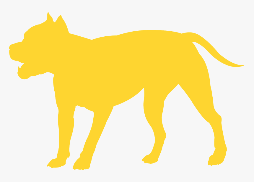 Dog, HD Png Download