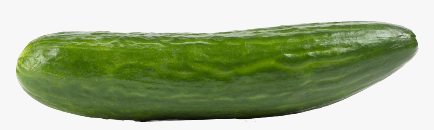 Transparent Cucumber Png - Cucumber, Png Download