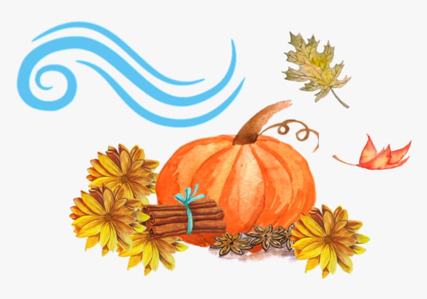 Clipart Thanksgiving Gourd - Jack-o'-lantern, HD Png Download