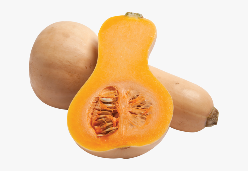 Calabash - Butternut Squash Transparent Background, HD Png Download